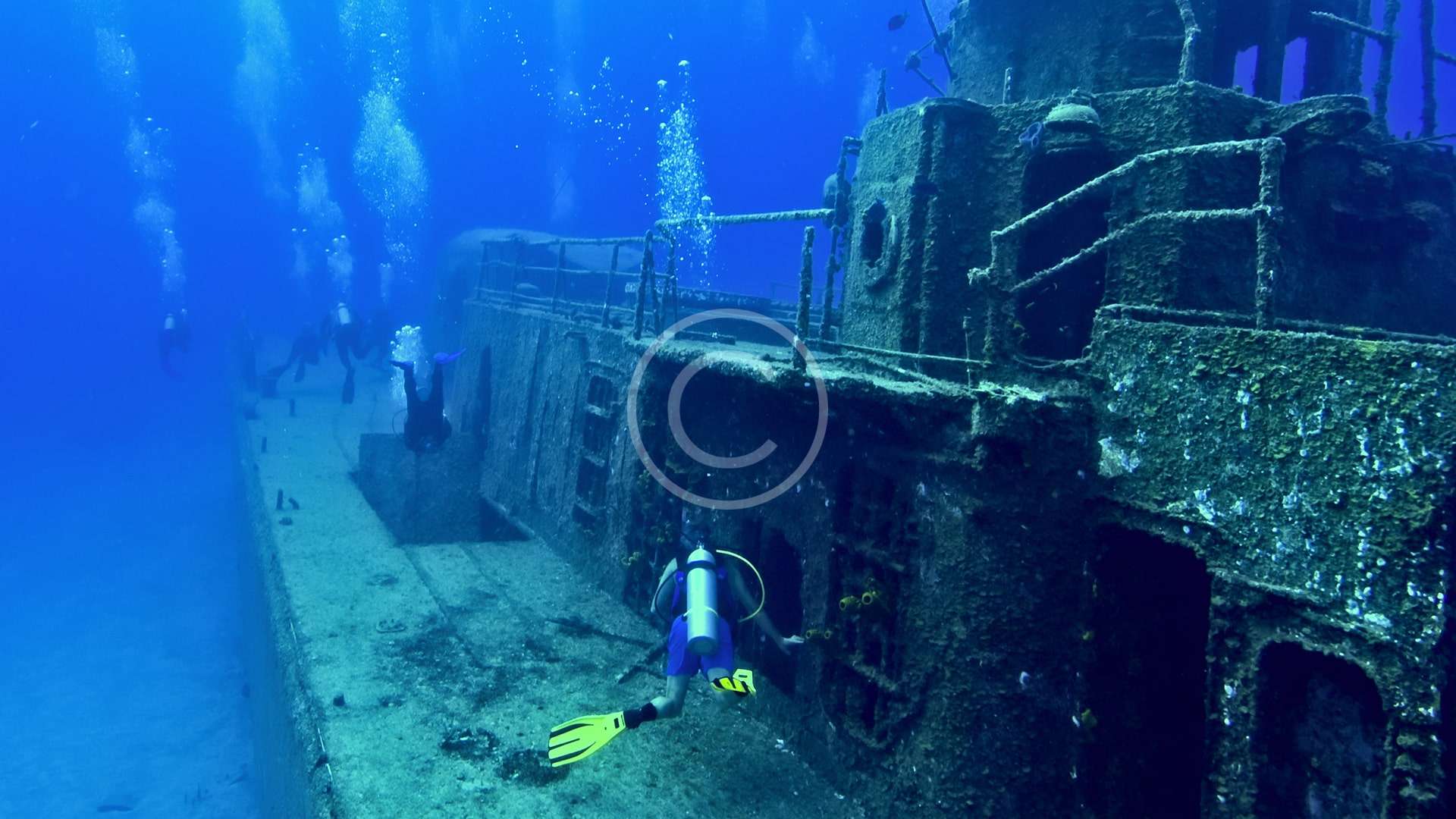 Underwater Naturalist